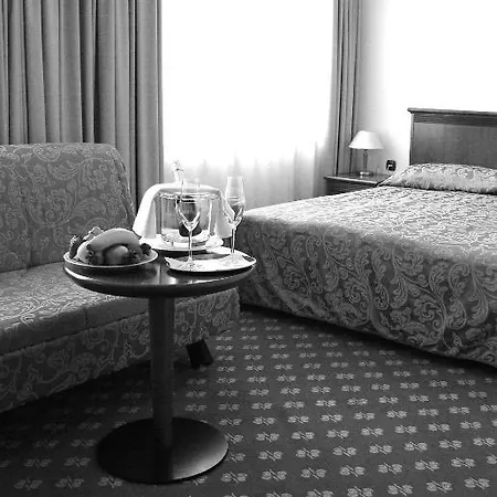 Zvezda Hotel 3*